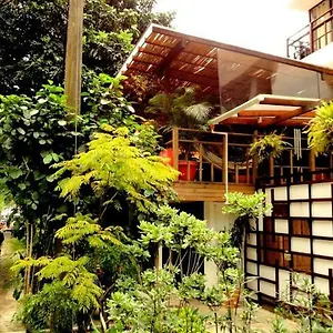  Hostel Casa Kiwi